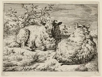 Deux moutons