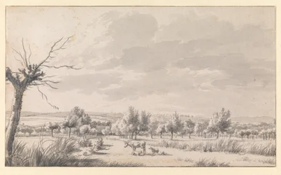 Vaste paysage avec du bétail