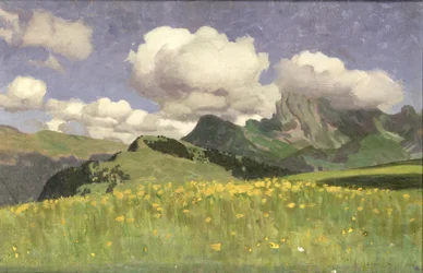 Un champ de soucis, Basses-Alpes, 1902