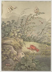 Pièce d