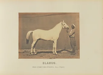 Blanco