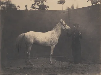 Pascaline, vers 1855-1860
