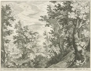 Paysage forestier