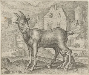 Fable de la chèvre et du jeune loup