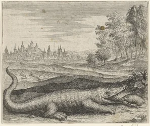 Fable du crocodile et de la mangouste