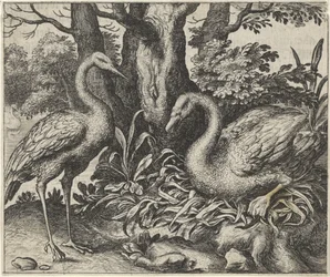 Fable du cygne et de la cigogne