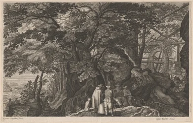 Arbres anciens près d