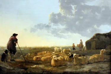 Allemand : Schafherde auf der Weide Troupeau de moutons au pâturage