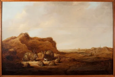 Paysage avec des lapins