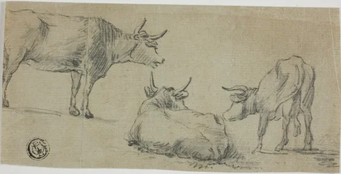 Trois croquis de vaches
