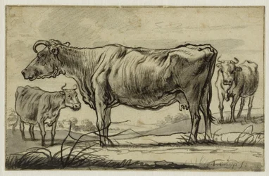 Trois vaches au pâturage (Lugt 16)
