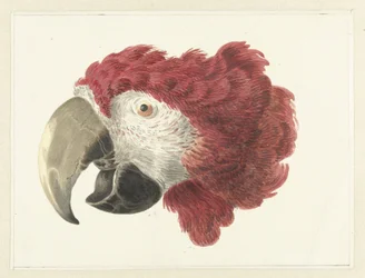 Tête d