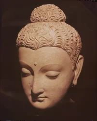 Tête de Bouddha, style gréco-bouddhiste, de Hadda