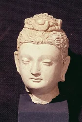 Tête d