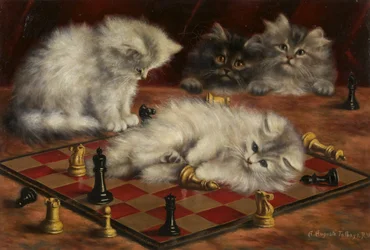 Chats avec un échiquier