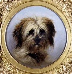 Tête d