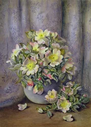 Nature Morte de Roses