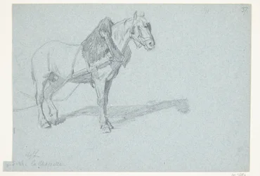 Un cheval