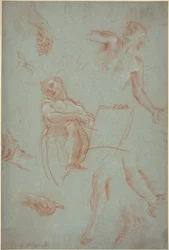 Feuille d