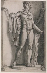 Speculum Romanae Magnificentiae : Apollon du Belvédère, vers 1514-36