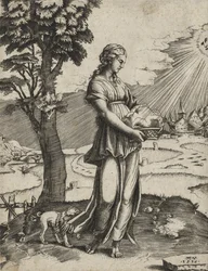La Sibylle de Cumes, 1516 (gravure sur papier vergé)