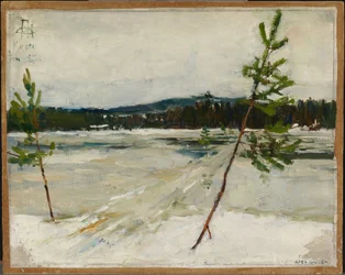 Sentier sur la glace