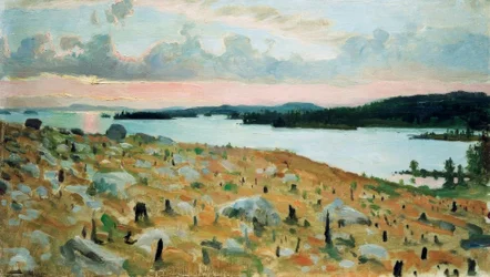Forêt déboisée au bord du lac Kallavesi