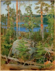 Vue sur le lac Jamajärvi