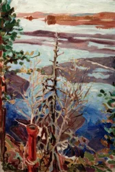 Glace de printemps, vue du toit à Kalela