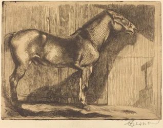Le poney