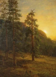 Les séquoias de Californie
