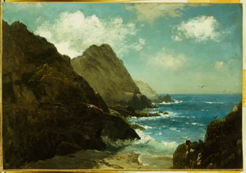 Îles Farallon