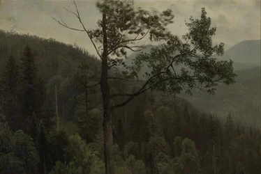 Montagnes couvertes d