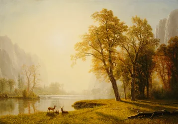 Vallée de Yosemite