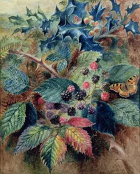 Mûres et houx avec un papillon