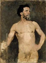 Modèle masculin, étude