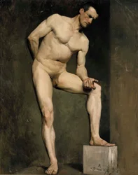 Modèle masculin, étude d
