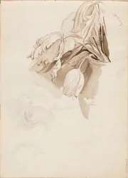 Tulipes