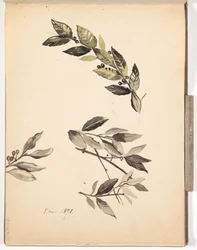 Sans titre