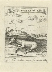 Âne mort
