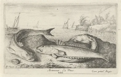 Trois poissons sur la plage