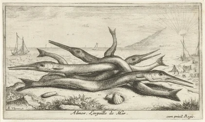 Poissons sur la plage
