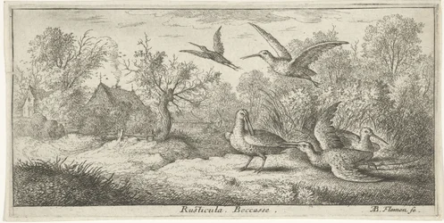Paysage avec des bécasses; Rusticula. Becasse. (titre sur l