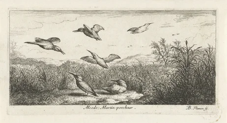 Paysage avec martins-pêcheurs (Alcedo; Martin-pescheur, Vogelboek, Livre d