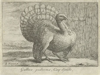 Paysage avec dinde