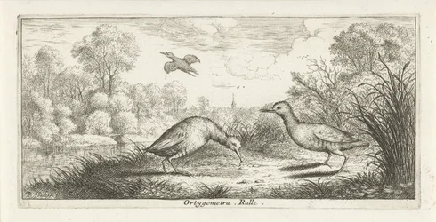 Paysage avec deux râles sur une rive