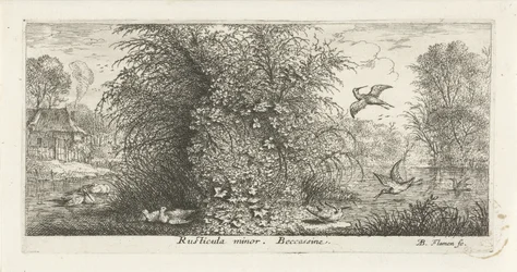 Paysage avec bécassine (Rusticula minor. beccassine., Vogelboek, Livre d