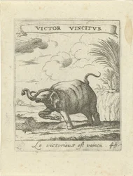 Éléphant et serpent