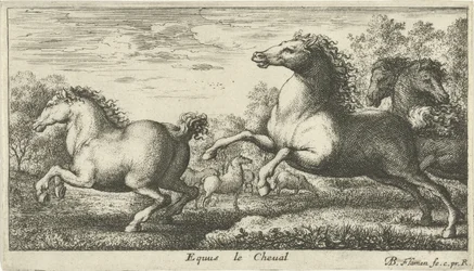 Chevaux (série Diverses espèces animales)