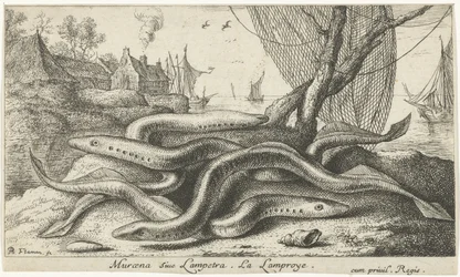 Lamproies de rivière sur une rive